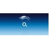 O2